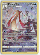 2022 Tempête Argentée - Milobellus