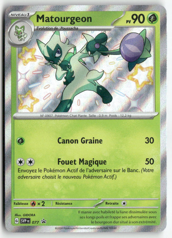 2024 Ecarlate & Violet Promo - Matourgeon