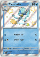 2024 Ecarlate & Violet Promo - Canarbello