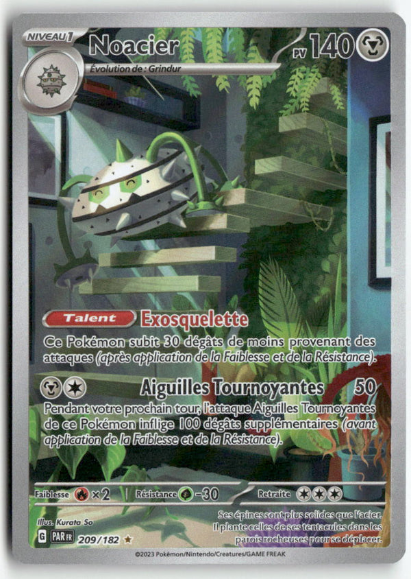 2023 Faille Paradoxe - Noacier