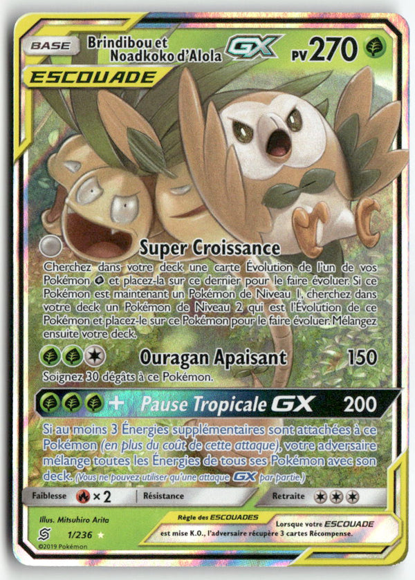 2019 Harmonie des Esprits - Brindibou et Noadkoko d'Alola GX
