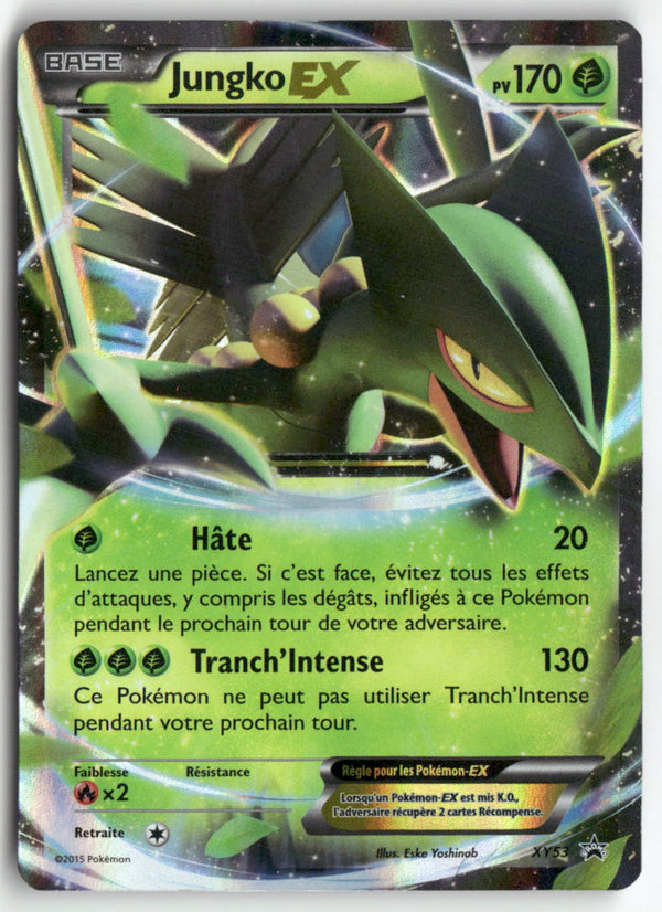 2015 XY Promo - Jungko EX