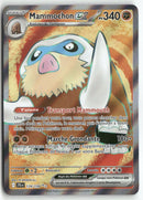 2025 Aventures Ensemble - Mammochon ex