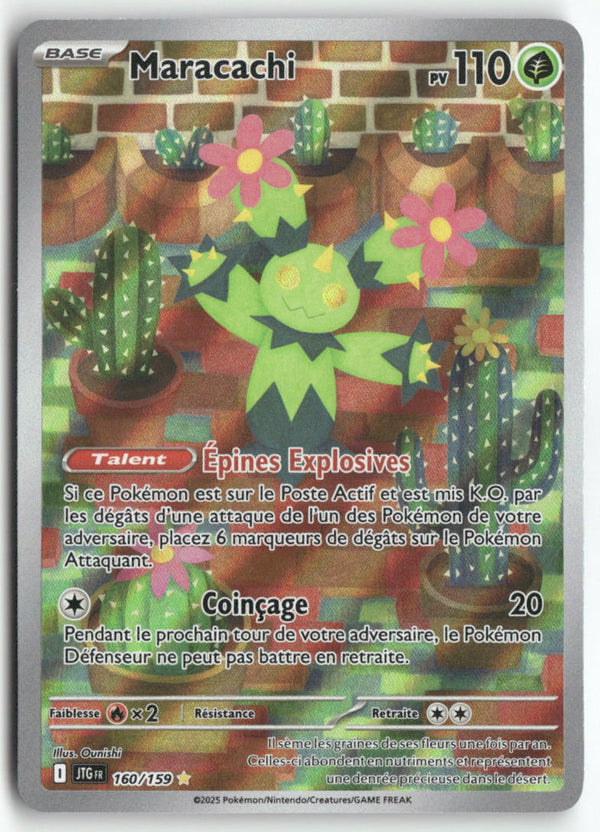 2025 Aventures Ensemble - Maracachi