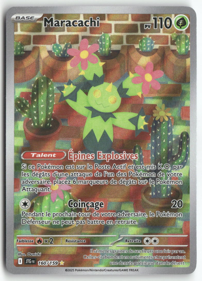 2025 Aventures Ensemble - Maracachi