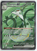 2025 Foudre Noire - Majaspic ex