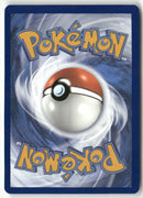 2023 Ecarlate & Violet Base - Toutombe