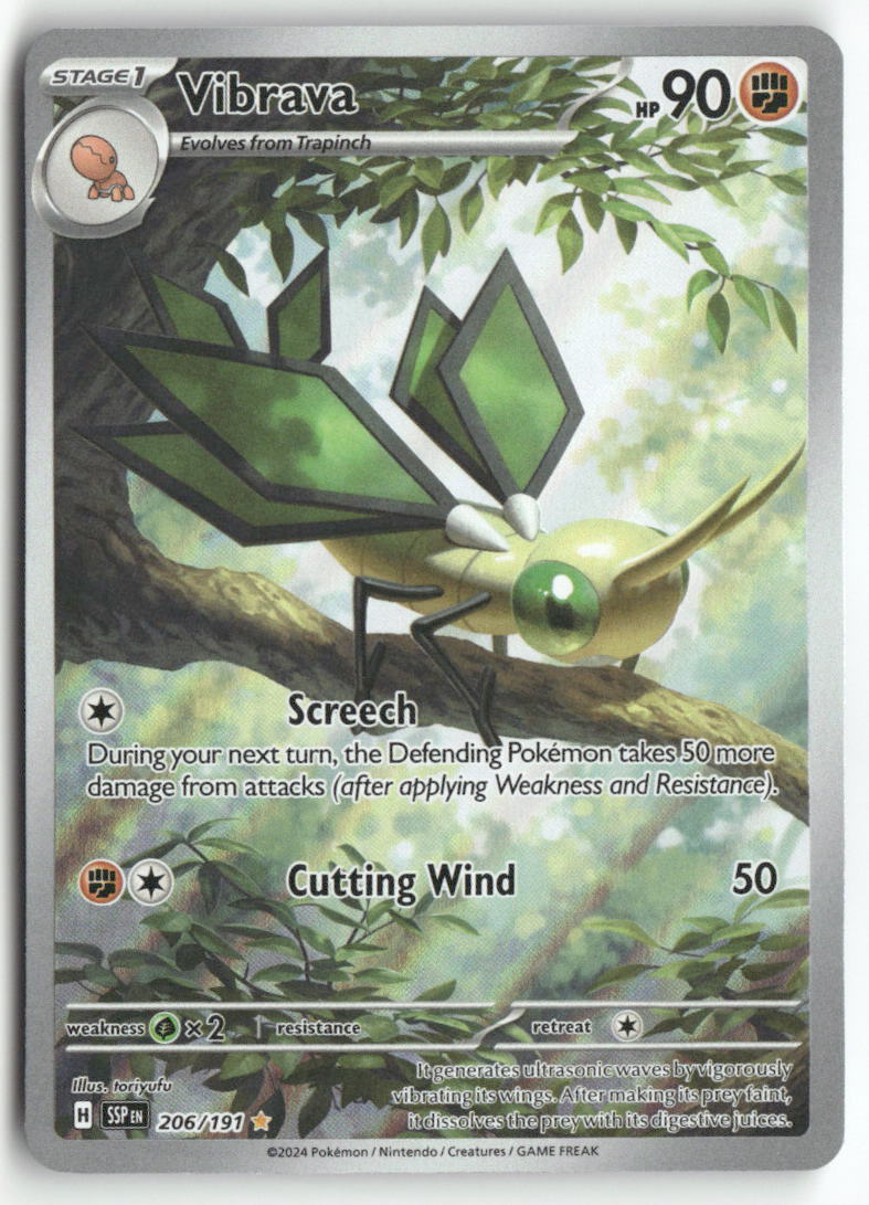 2024 Surging Sparks - Vibrava