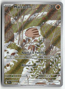 2025 Aventures Ensembles - Marcacrin