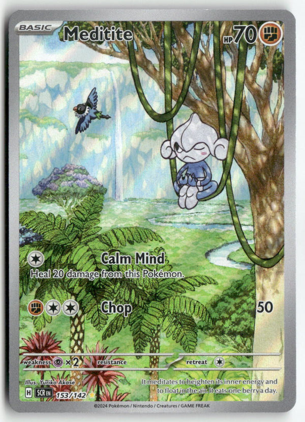 2024 Stellar Crown - Meditite