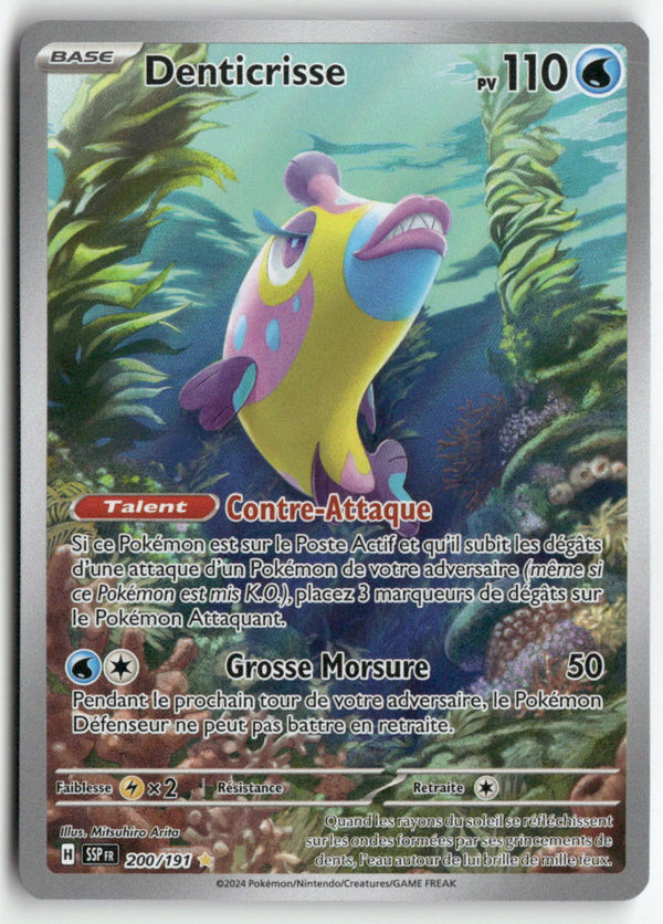 2024 Etincelles Déférlantes - Denticrisse