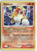 2008 Merveilles Secrètes - Entei Niv.43