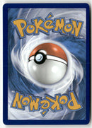 2022 Tempête Argentée - Zarbi VSTAR