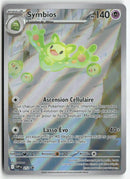 2025 S&V Promo - Symbios