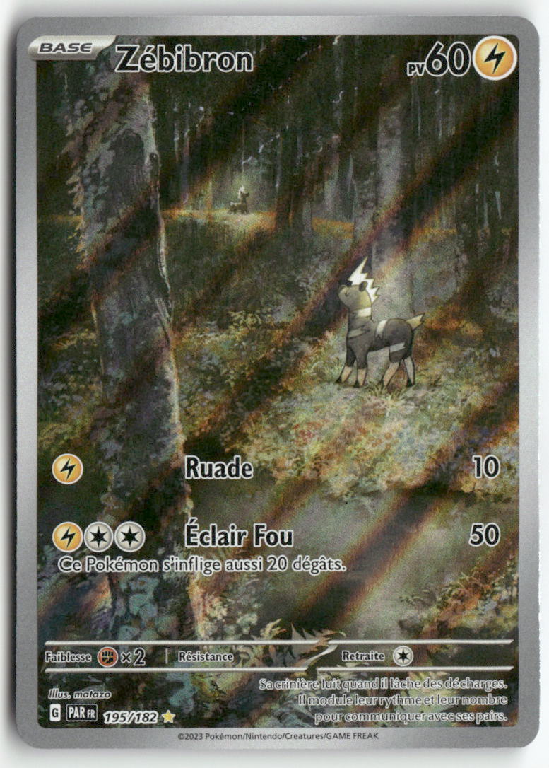 2023 Faille Paradoxe - Zébibron