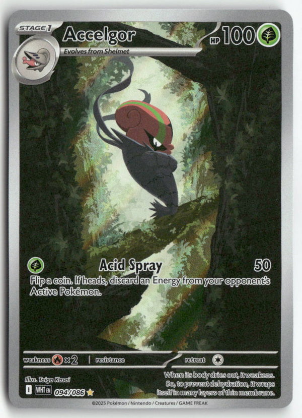 2025 White Flare - Accelgor