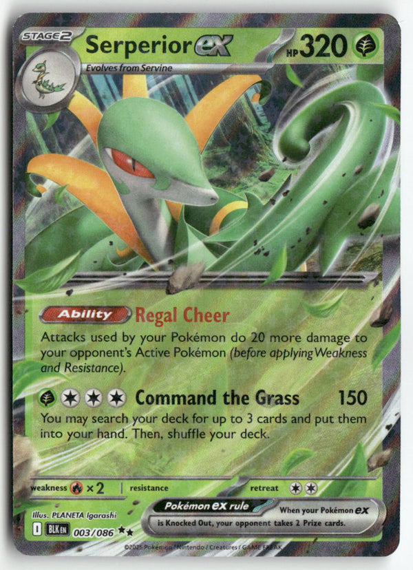 2025 Black Bolt - Serperior ex