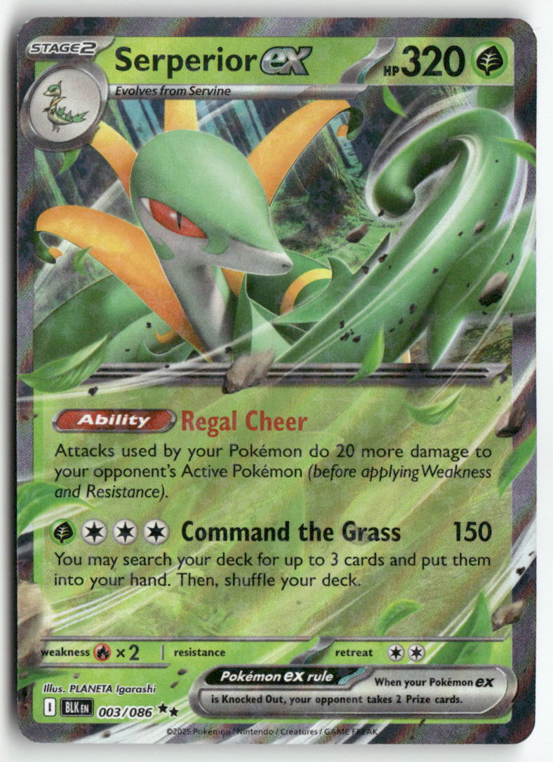 2025 Black Bolt - Serperior ex