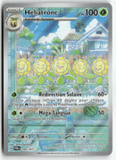 2024 Mascarade Crépusculaire - Héliatronc