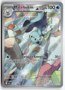 2025 Flamme Blanche - Mateloutre