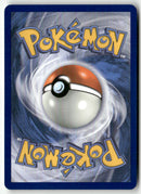 2025 Flamme Blanche - Mateloutre