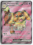 2024 Stellar Crown - Dachsbun ex