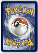 2025 Méga Évolution - Tomberro