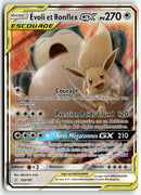 2019 Duo de Choc - Evoli et Ronflex GX
