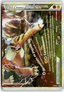2010 HS : Déchaînement - Entei & Raikou Légende down