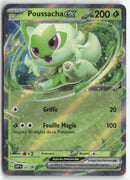 2025 Ecarlate & Violet Promo - Poussacha ex