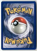 1999 Set de Base - Florizarre Holo