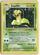 2000 Jungle - Empiflor