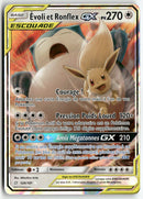 2019 Duo de Choc - Evoli et Ronflex GX