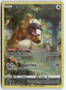 2023 Crown Zenith - Bidoof