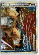 Pokémon - 2010 HS : Unleashed - Suicune & Entei Legend Down