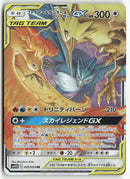 Pokémon - 2019 Sky Legend - Moltres & Zapdos & Articuno GX