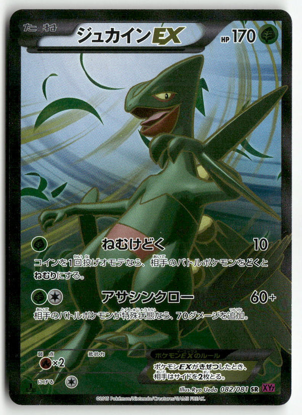 2013 Bandit Ring 1st Ed. - Sceptile EX Holo