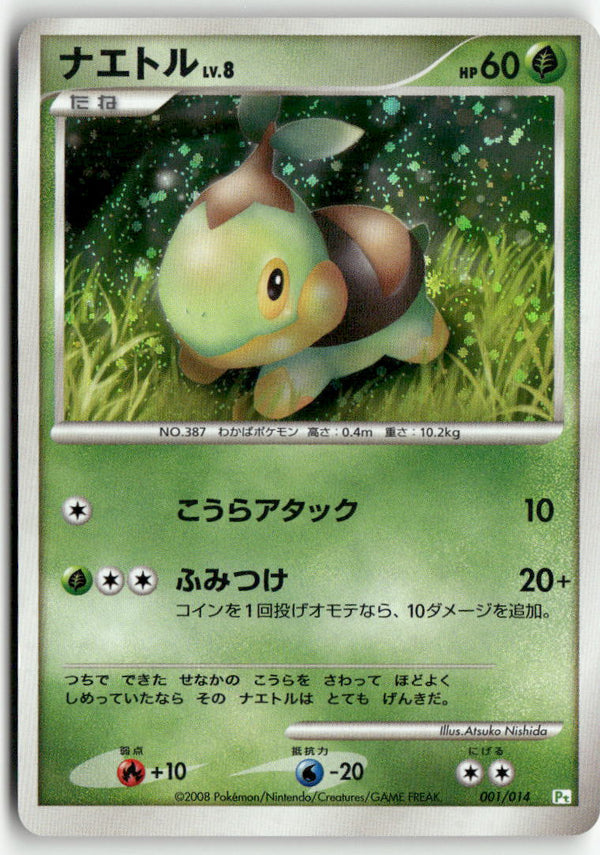 2008 Gift Box Dpt Turtwig - Turtwig Holo