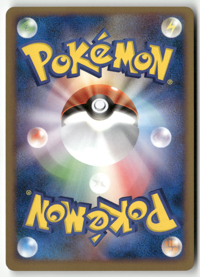 2008 Gift Box Dpt Turtwig - Turtwig Holo