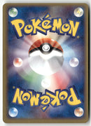 2003 ADV Expansion Pack 1st Ed. - Sneasel ex Holo