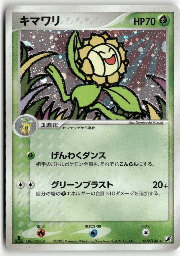 2005 Golden Sky, Silvery Ocean 1st Ed. - Sunflora Holo