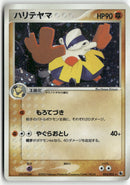 2003 ADV Expansion Pack - Hariyama Holo