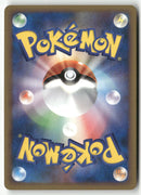 2009 SoulSilver Collection 1st Ed. - Ursaring Holo