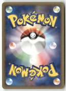 2003 Miracle of the Desert 1st Ed. - Zangoose Holo