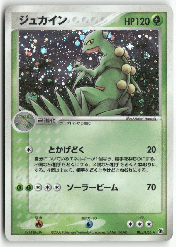 2003 ADV Expansion Pack - Sceptile Holo