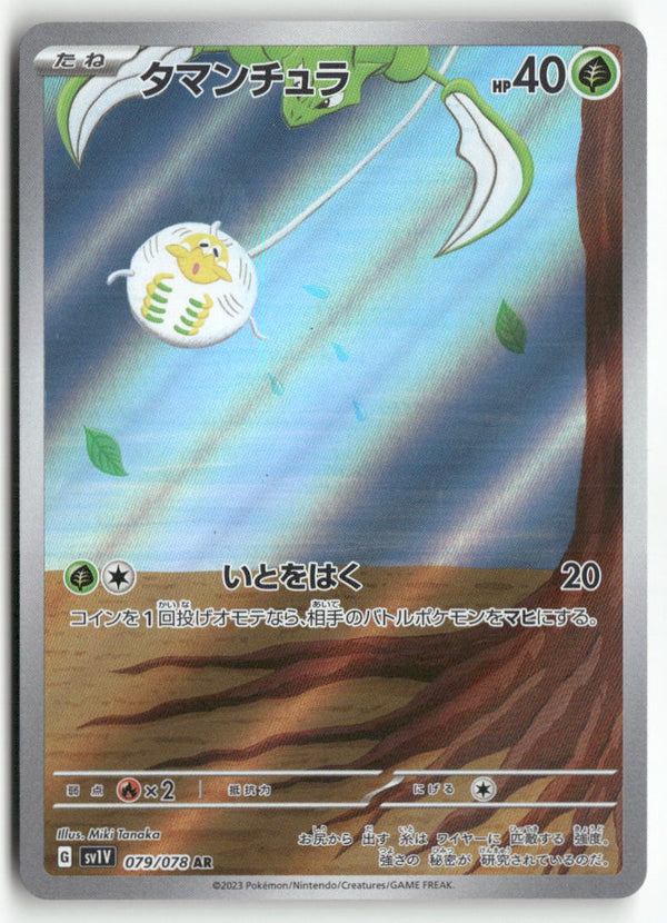 2023 Violet ex -   Tarountula Holo